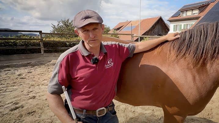 Automatisierung & Notstromversorgung